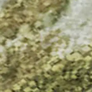 Photo of Green And Gold Nautical Washable Area Rug With UV Protection