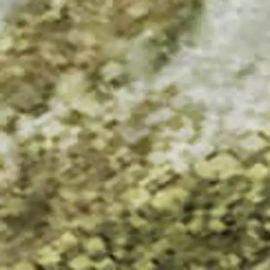 Green And Gold Nautical Washable Area Rug With UV Protection Photo 1