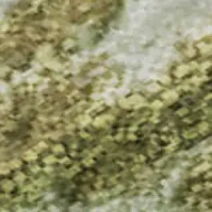 Photo of Green And Gold Nautical Washable Area Rug With UV Protection