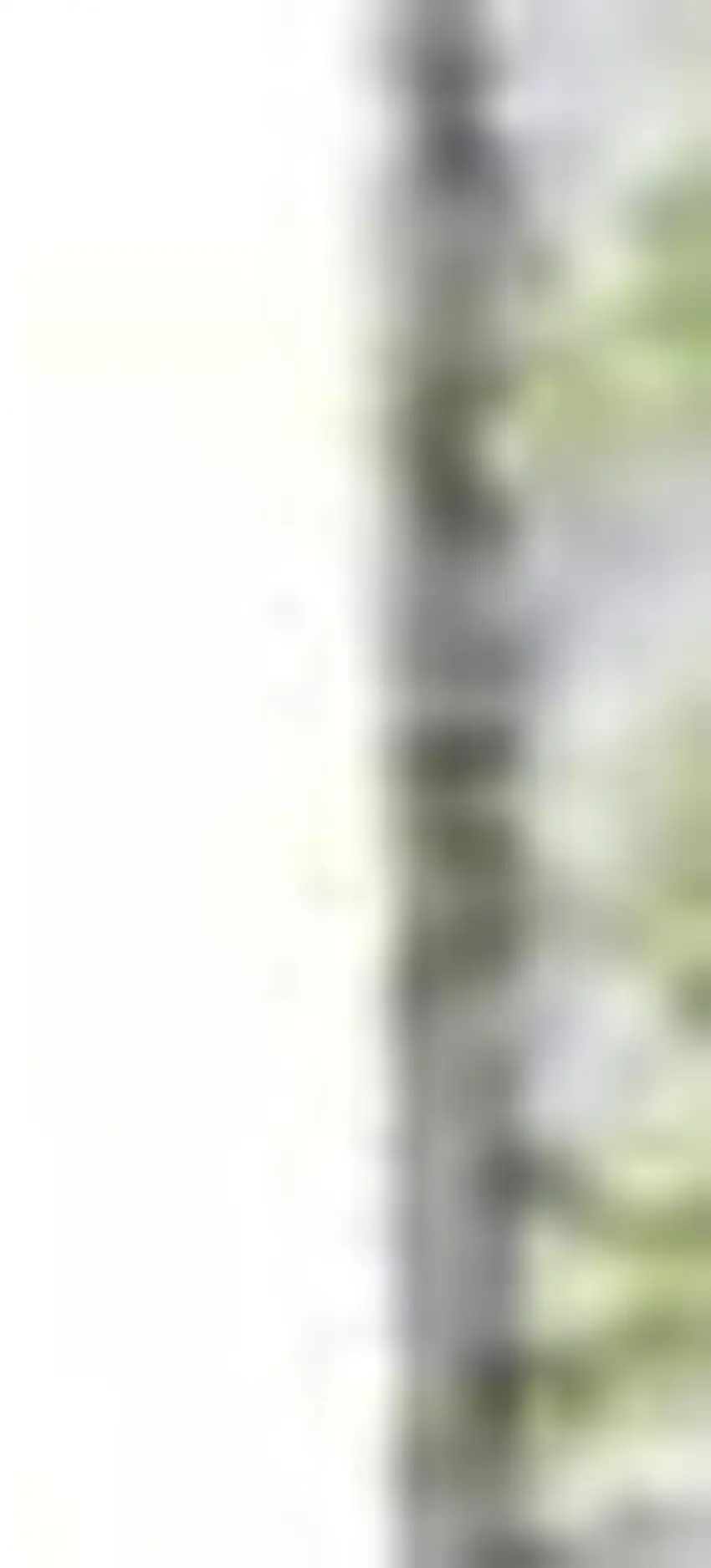 Green And Ivory Abstract Washable Area Rug With UV Protection Photo 4