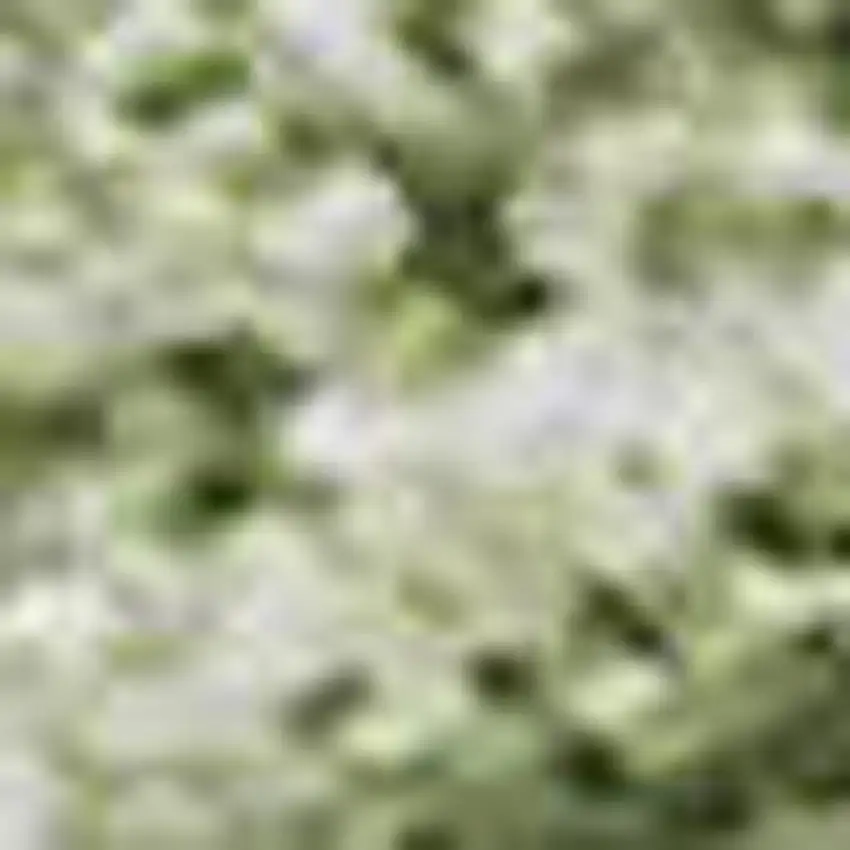 Green And Ivory Abstract Washable Area Rug With UV Protection Photo 2