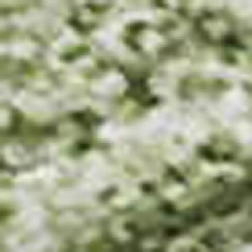 Green And Ivory Abstract Washable Area Rug With UV Protection Photo 2