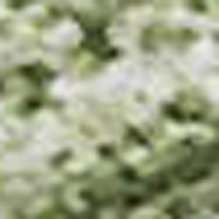 Green And Ivory Abstract Washable Area Rug With UV Protection Photo 2