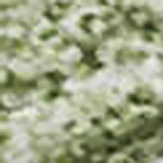 Green And Ivory Abstract Washable Area Rug With UV Protection Photo 3