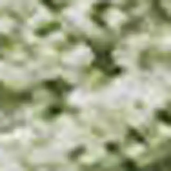 Green And Ivory Abstract Washable Area Rug With UV Protection Photo 2