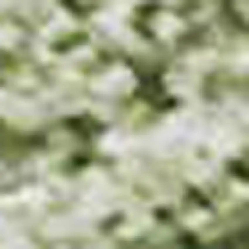 Green And Ivory Abstract Washable Area Rug With UV Protection Photo 2