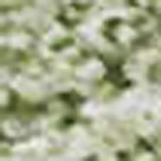 Green And Ivory Abstract Washable Area Rug With UV Protection Photo 3