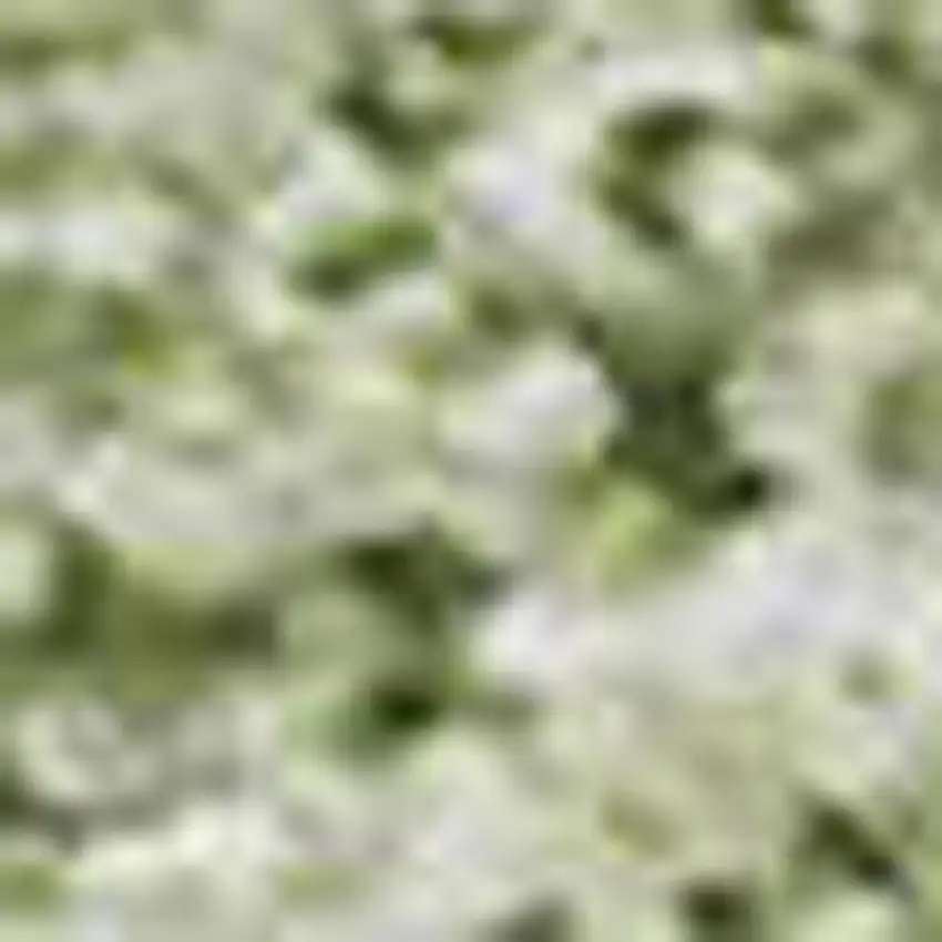 Green And Ivory Abstract Washable Area Rug With UV Protection Photo 3