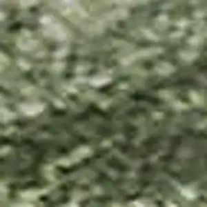 Photo of Green And Ivory Abstract Washable Area Rug With UV Protection