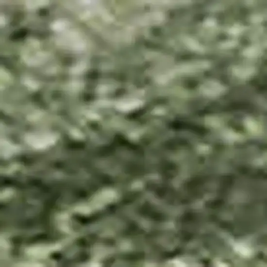 Green And Ivory Abstract Washable Area Rug With UV Protection Photo 1