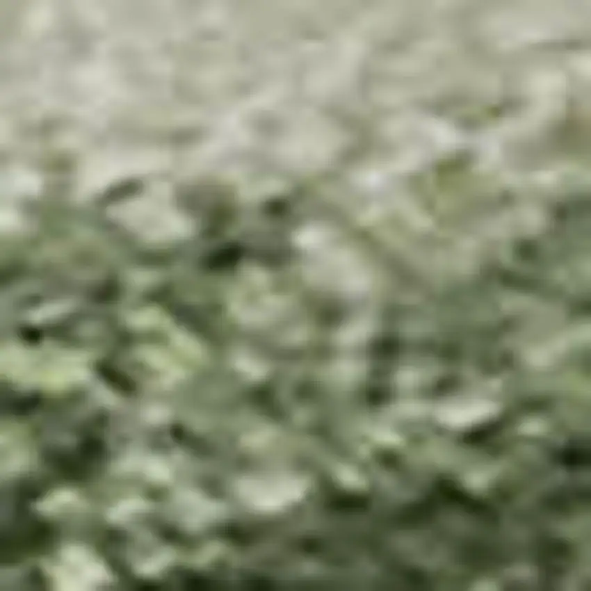 Green And Ivory Abstract Washable Area Rug With UV Protection Photo 1