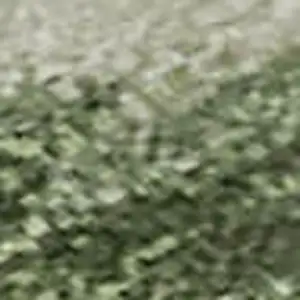 Photo of Green And Ivory Abstract Washable Area Rug With UV Protection