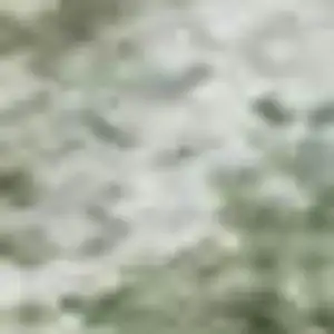 Photo of Green And Sage Abstract Washable Area Rug With UV Protection