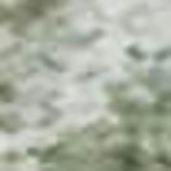 Green And Sage Abstract Washable Area Rug With UV Protection Photo 1