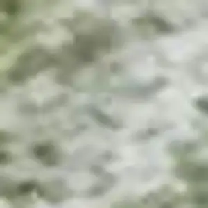 Photo of Green And Sage Abstract Washable Area Rug With UV Protection