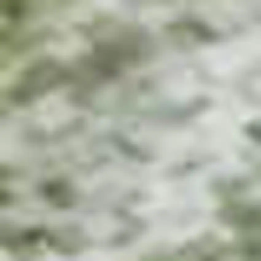 Green And Sage Abstract Washable Area Rug With UV Protection Photo 1