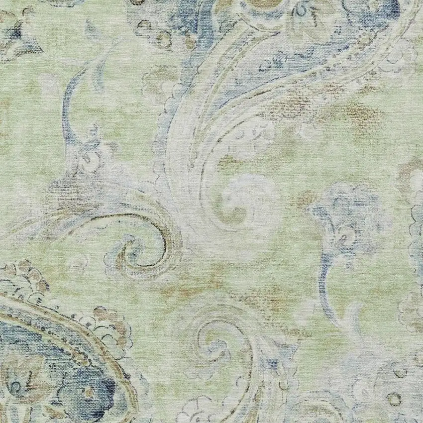 Green And Silver Paisley Washable Indoor Outdoor Area Rug Photo 3