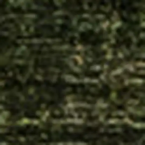 Green And Taupe Abstract Area Rug Photo 4