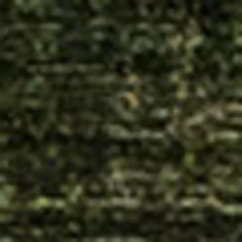 Green And Taupe Abstract Area Rug Photo 4