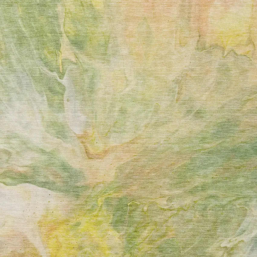 Green And Yellow Abstract Washable Indoor Outdoor Area Rug Photo 4
