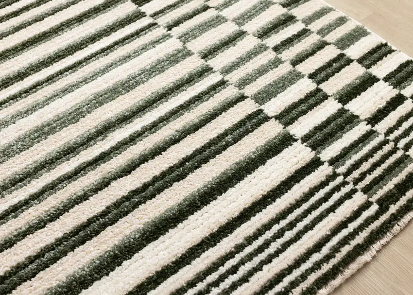 Green Black And Beige Striped Area Rug Photo 8