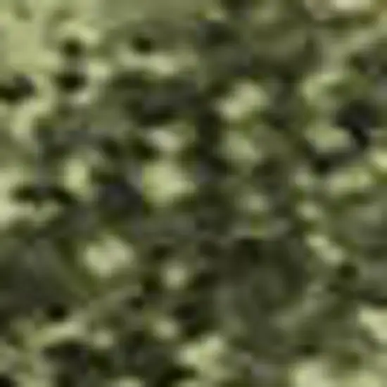 Green Copper And Peach Abstract Washable Area Rug With UV Protection Photo 2