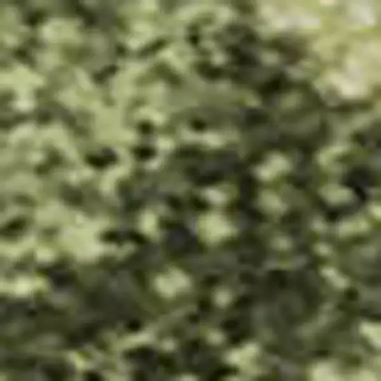 Green Copper And Peach Abstract Washable Area Rug With UV Protection Photo 3