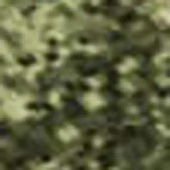 Green Copper And Peach Abstract Washable Area Rug With UV Protection Photo 2