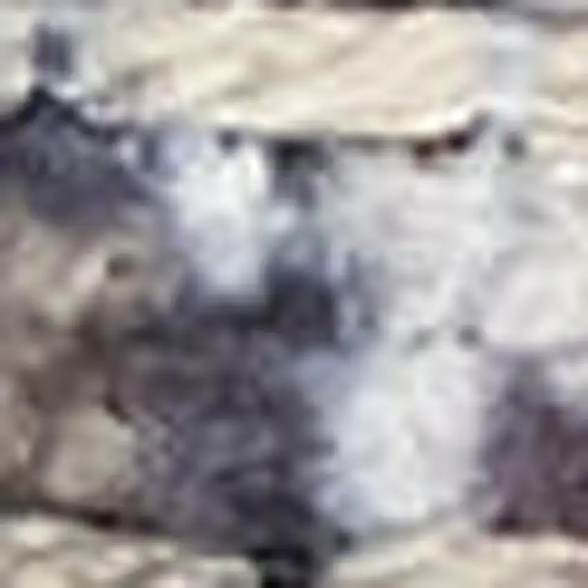 Green Floral Distressed Area Rug Photo 3