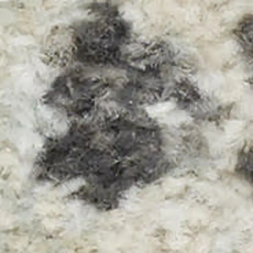 Green Floral Distressed Area Rug Photo 3