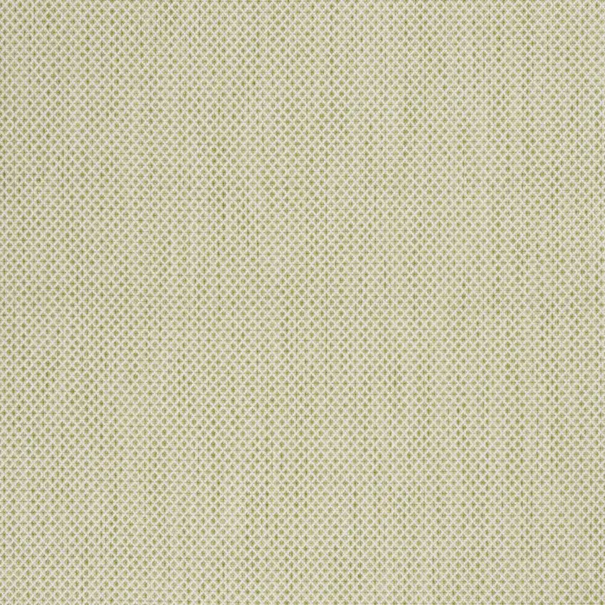 Green and Ivory Indoor Outdoor Area Rug Photo 5