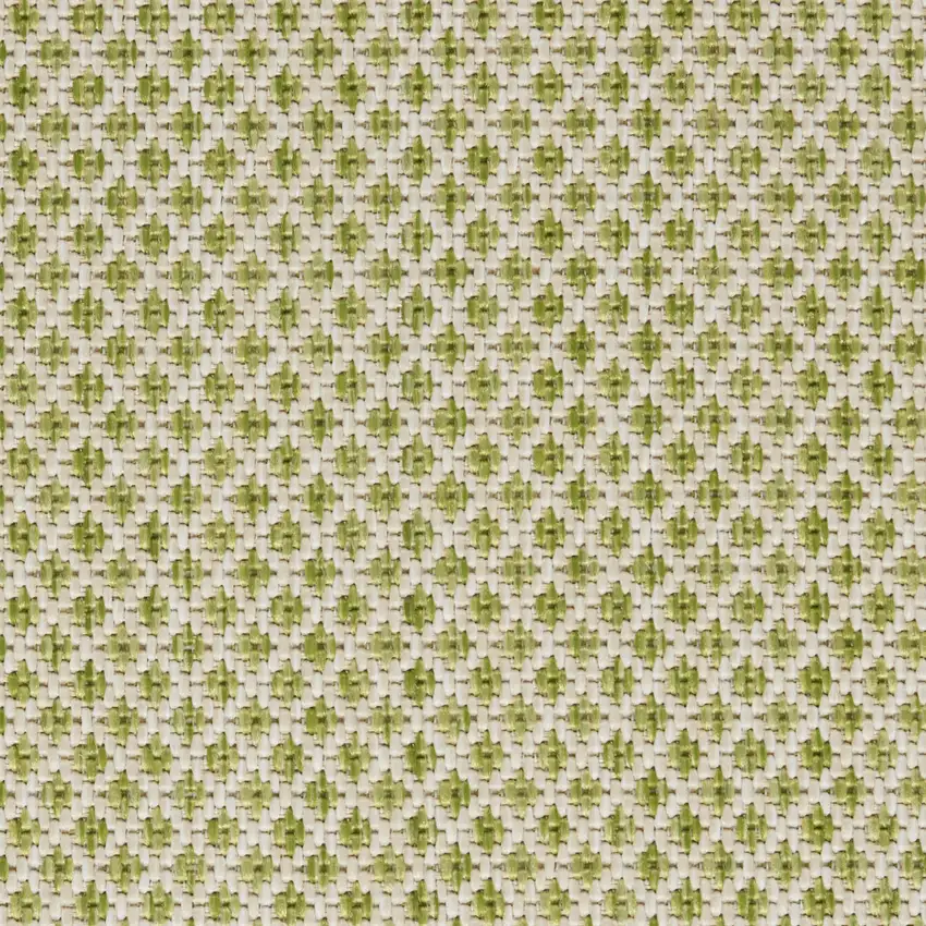 Green and Ivory Indoor Outdoor Area Rug Photo 6
