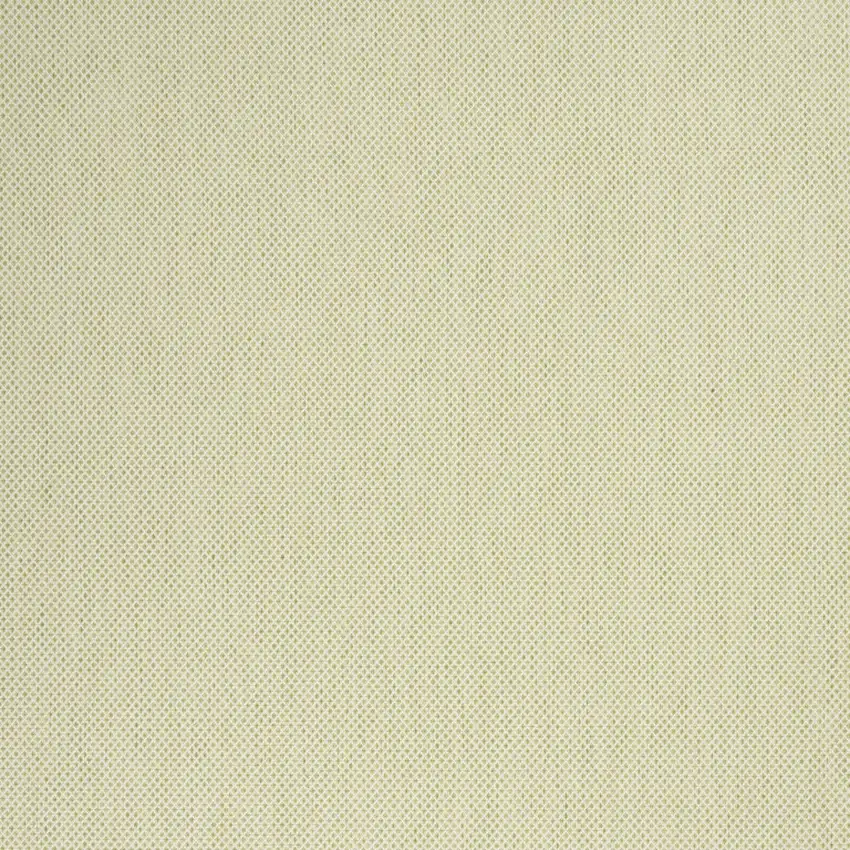 Green and Ivory Indoor Outdoor Area Rug Photo 5