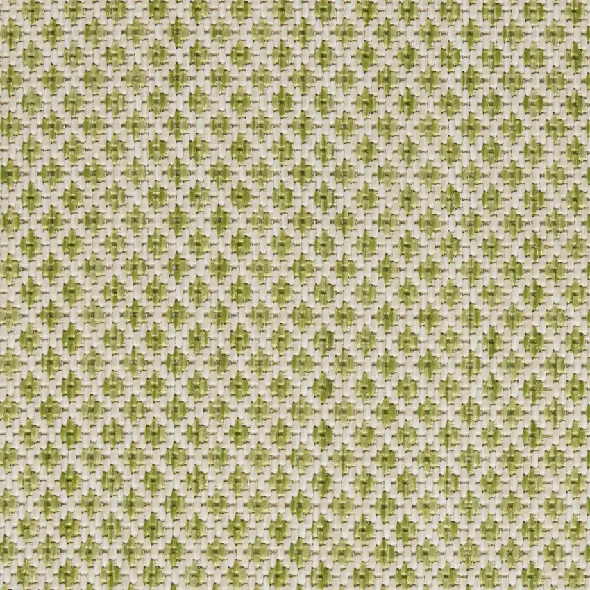 Green And Ivory Indoor Outdoor Area Rug Photo 5