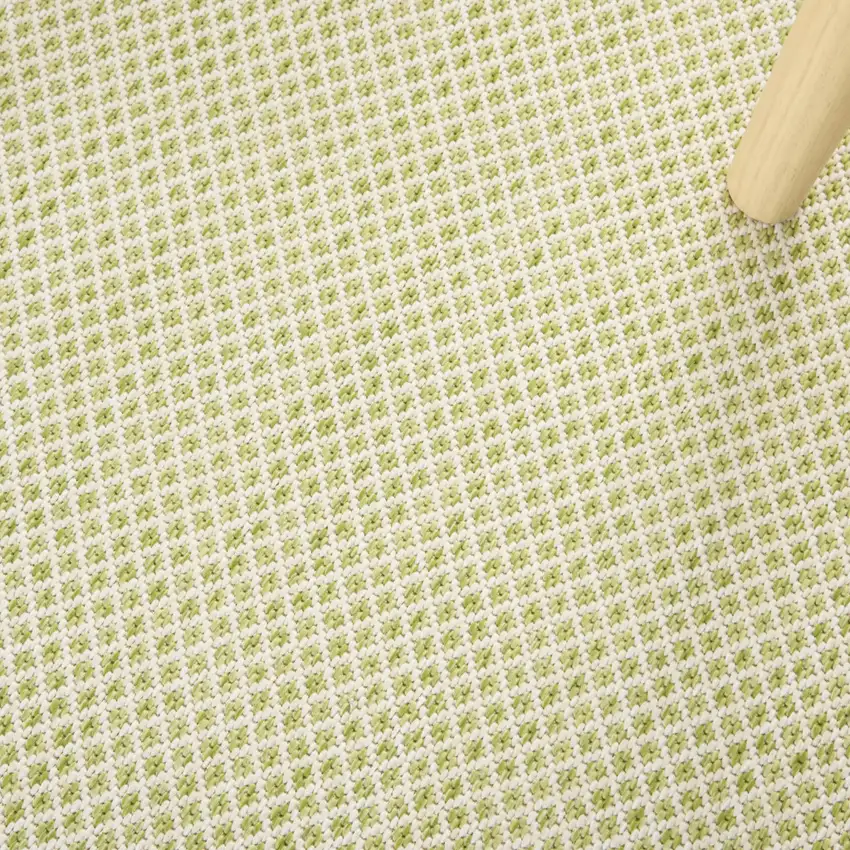 Green And Ivory Indoor Outdoor Area Rug Photo 9