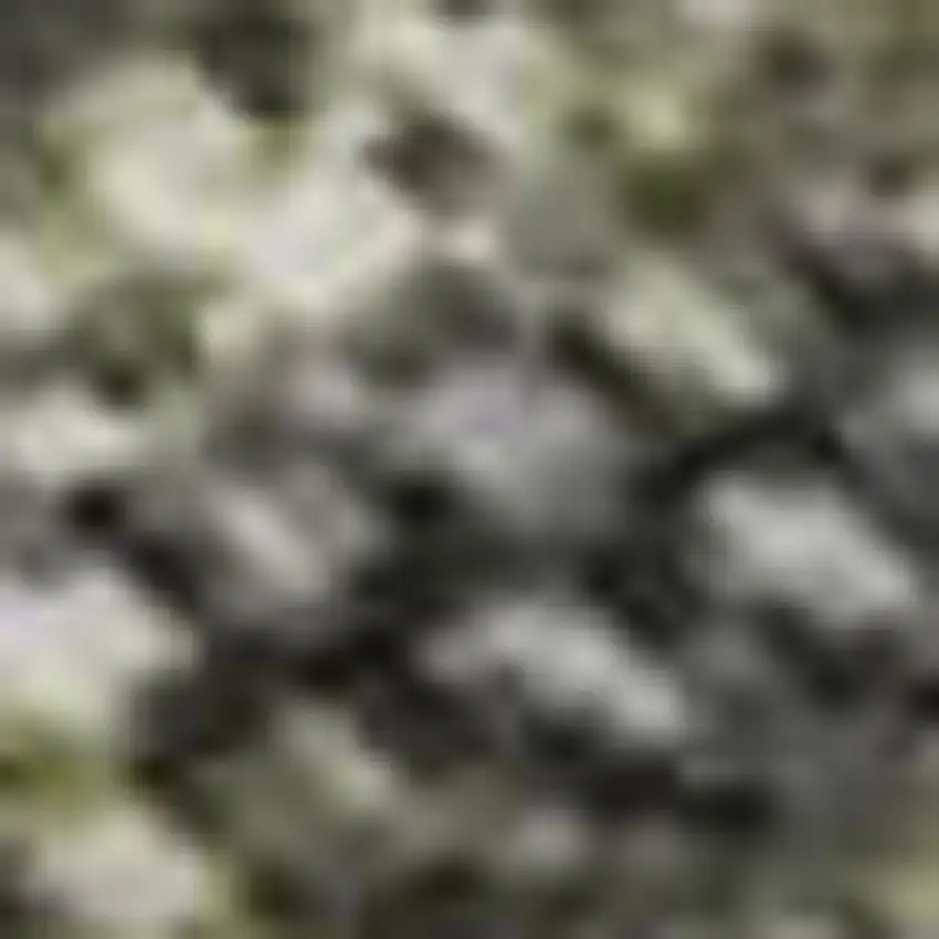 Green Gray And Gold Abstract Washable Area Rug With UV Protection Photo 1