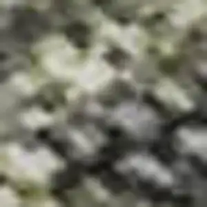 Photo of Green Gray And Gold Abstract Washable Area Rug With UV Protection