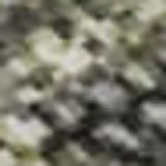 Green Gray And Gold Abstract Washable Area Rug With UV Protection Photo 1