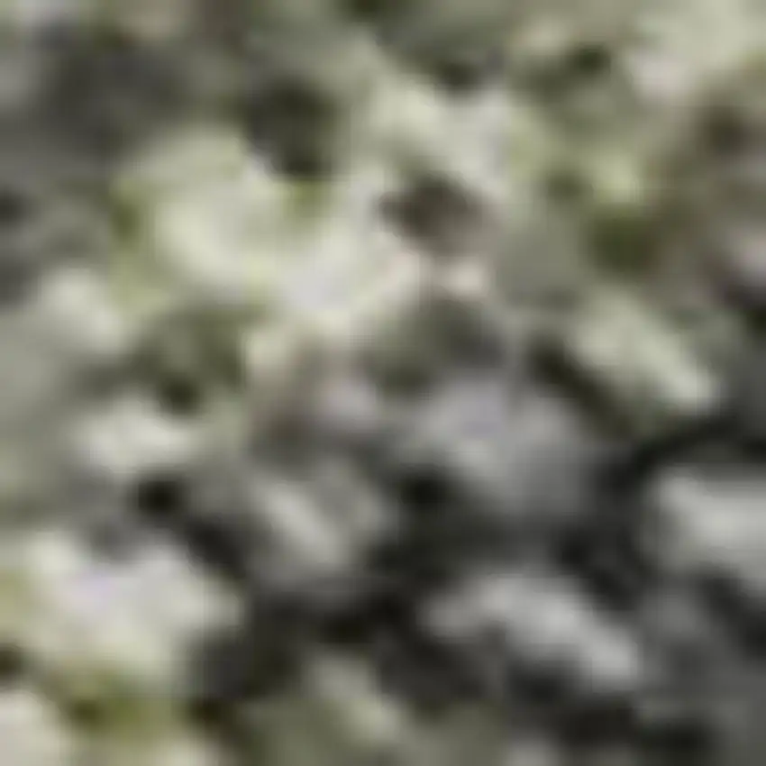 Green Gray And Gold Abstract Washable Area Rug With UV Protection Photo 1