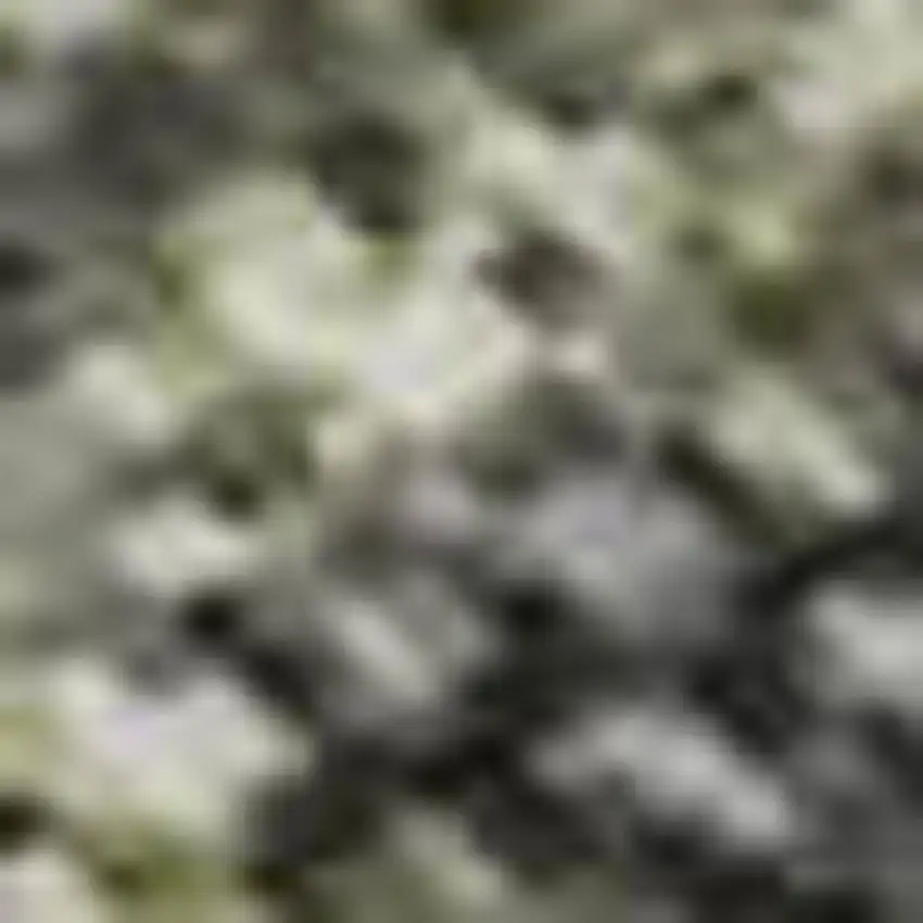 Green Gray And Gold Abstract Washable Area Rug With UV Protection Photo 1