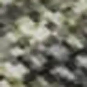 Photo of Green Gray And Gold Abstract Washable Area Rug With UV Protection