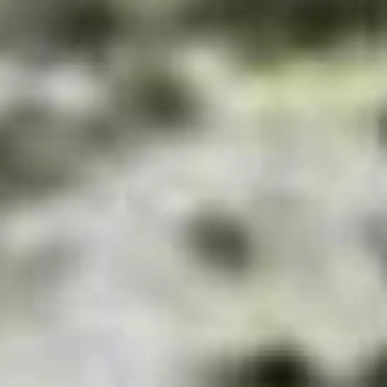 Green Gray And Ivory Abstract Washable Area Rug With UV Protection Photo 9