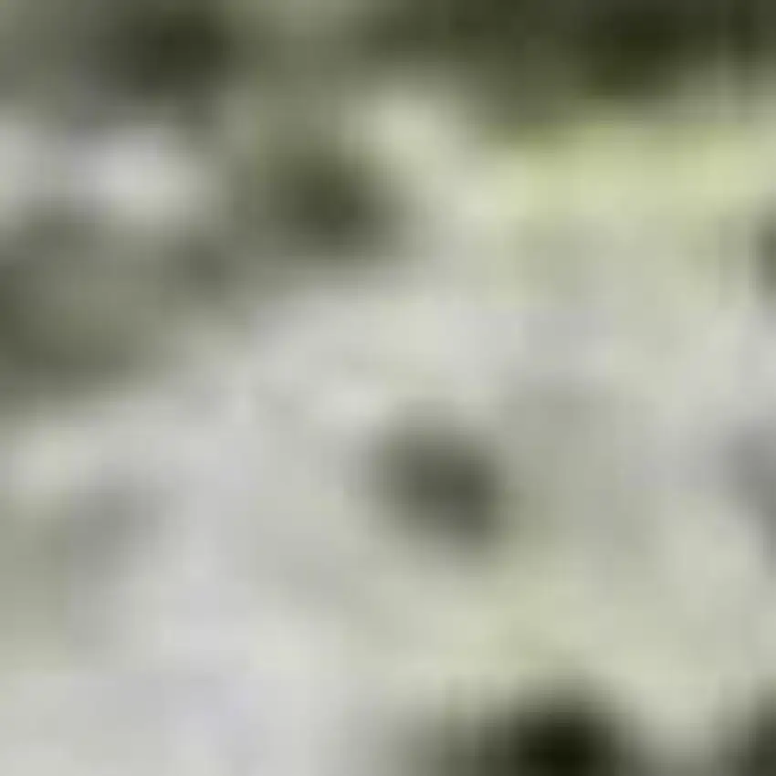 Green Gray And Ivory Abstract Washable Area Rug With UV Protection Photo 9