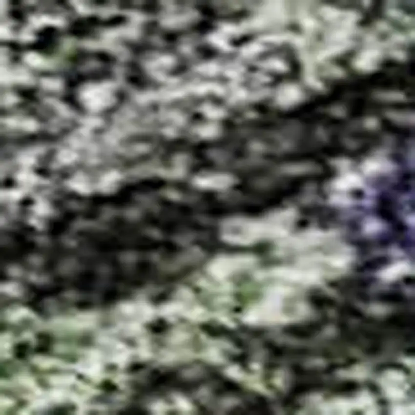 Green Gray And Purple Abstract Geometric Washable Area Rug With UV Protection Photo 2