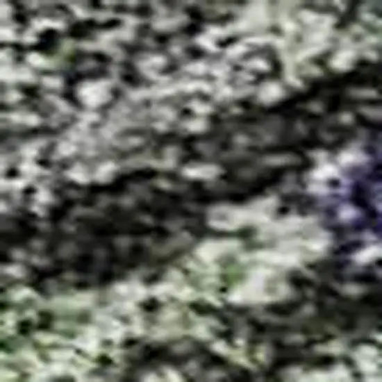 Green Gray And Purple Abstract Geometric Washable Area Rug With UV Protection Photo 2