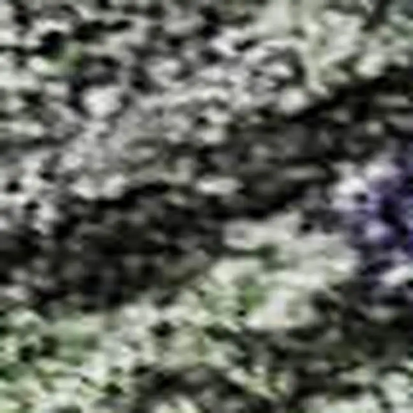 Green Gray And Purple Abstract Geometric Washable Area Rug With UV Protection Photo 2