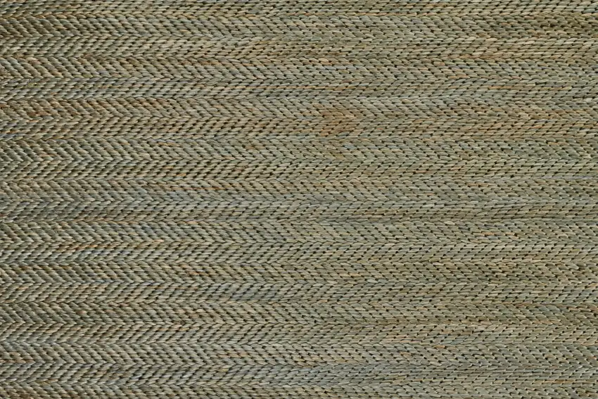 Green Gray And Tan Hand Woven Area Rug Photo 9