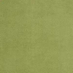 Photo of Green Non Skid Indoor Outdoor Area Rug