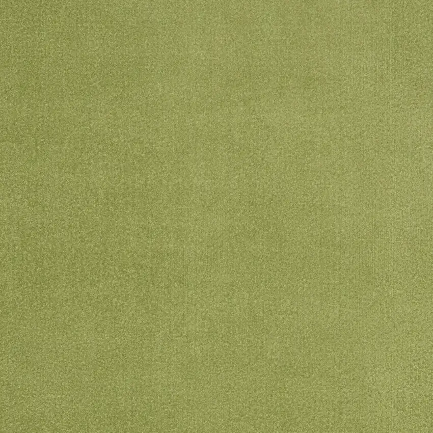 Green Non Skid Indoor Outdoor Area Rug Photo 3