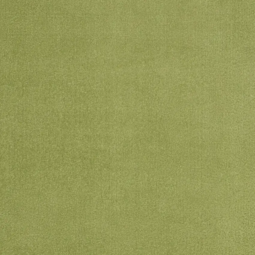 Green Non Skid Indoor Outdoor Area Rug Photo 3